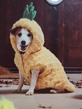 Witch Crafters Yellow Pineapple Plush Dog Costume New With Tags
